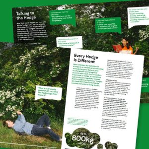 Hedgerow improvements at Wilstead Community Woodland supported by the Newt Conservation Partnership