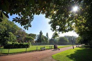 New Community Forest created in the North East to support a greener future