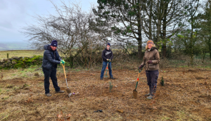 Trees for Climate: Lansdown, Bath