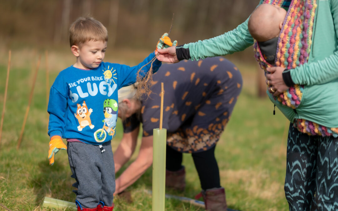 Over 2.5 million new trees planted by local communities across England thanks to Trees for Climate funding